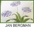 Jan Bergman